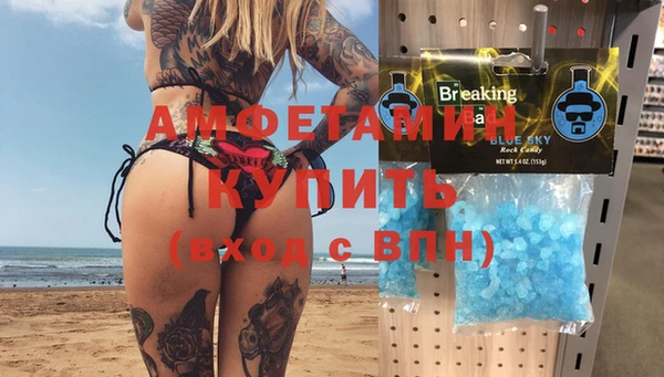 стаф Аркадак