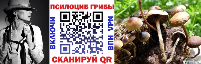 KRAKEN ТОР Ртищево Галлюциногенные грибы прущие грибы закладка